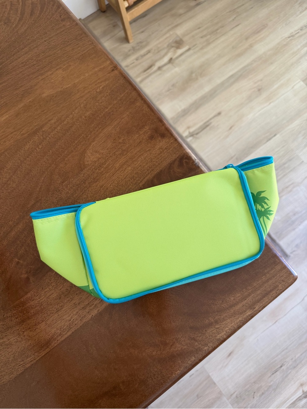 NEW Trader Joe’s Insulated Tote Bags